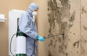 Mold Remediation for Rental Properties in Oreana, IL